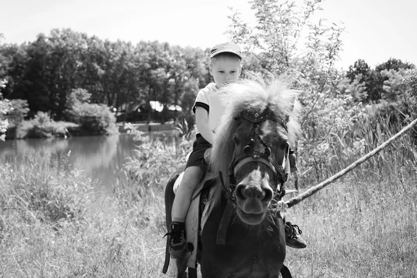 Jongen rijden pony — Stockfoto