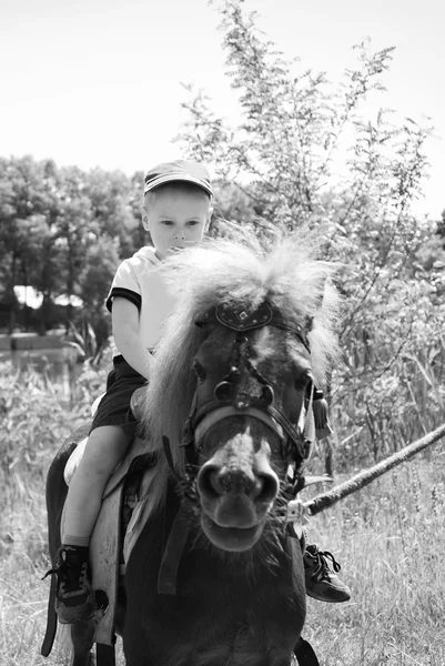 Jongen rijden pony — Stockfoto