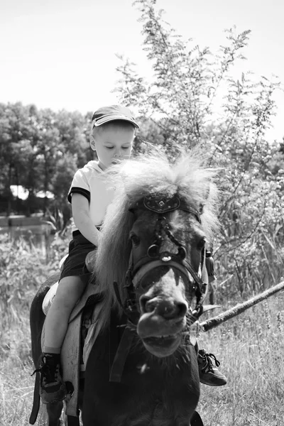 Мальчик на пони — стоковое фото