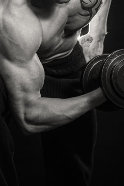 adale adam dumbbells ile