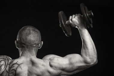 adale adam dumbbells ile