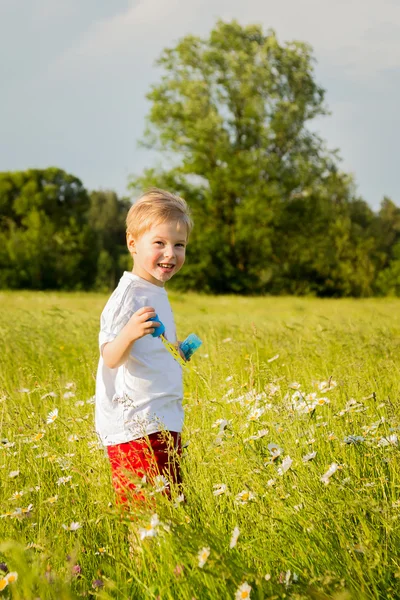 Boy playing in the field — Stock Photo, Image