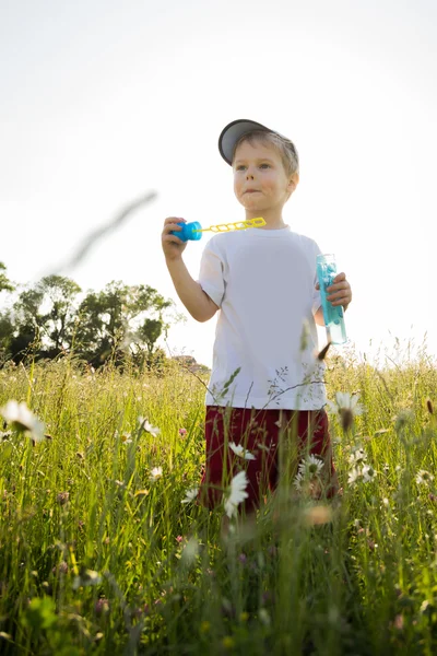 Boy in a field with daisies — Stock Photo, Image