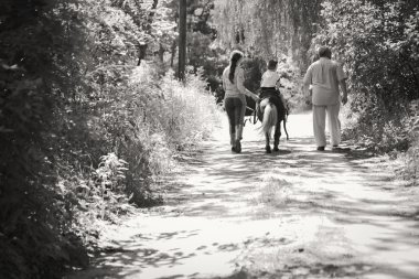 mutlu bir aile orman