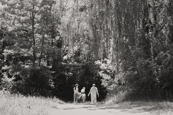 Família feliz na floresta — Fotografia de Stock