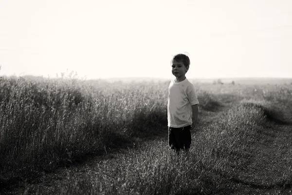 Junge auf einem Feld mit Gänseblümchen — Stockfoto