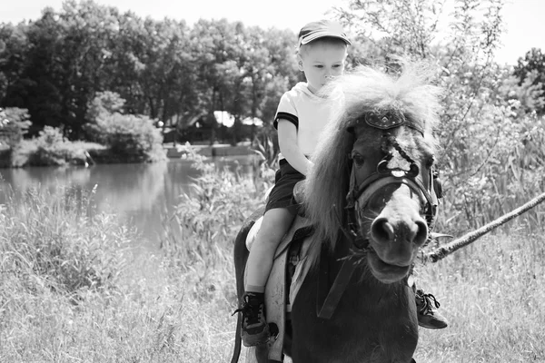 Мальчик на пони — стоковое фото