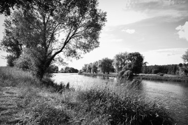 Nehri
