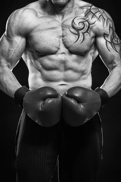 Silný boxer — Stock fotografie