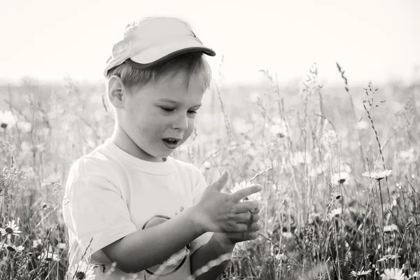 Мальчик играет в поле — стоковое фото