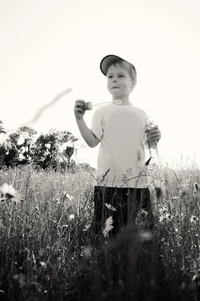 Boy playing in the field — Stock Photo, Image