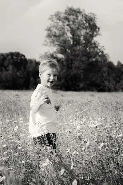 Menino brincando no campo — Fotografia de Stock