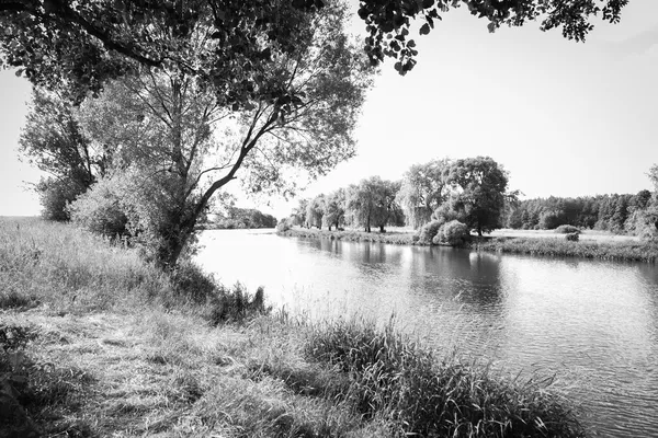 Bank of river — Stock Photo, Image