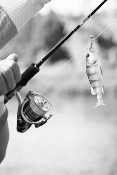 Hombre pescando en el río —  Fotos de Stock