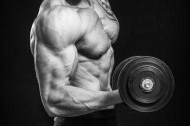 adale adam dumbbells ile