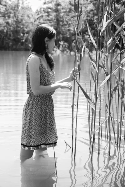 Bruna in piedi nel lago — Foto Stock