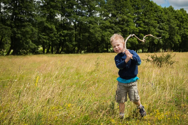 Junge auf dem Feld — Stockfoto