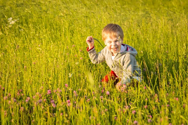 Boy playing in the field Royalty Free Stock Photos