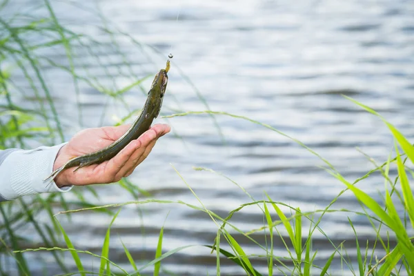 Fischer, der Fisch hält — Stockfoto