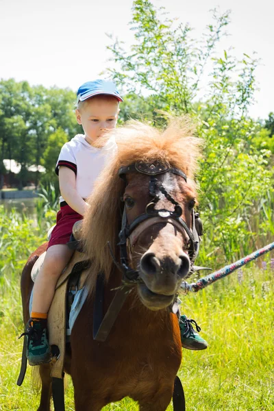 Niño caballo pony —  Fotos de Stock