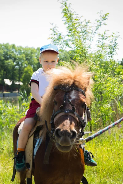 Niño caballo pony — Foto de Stock