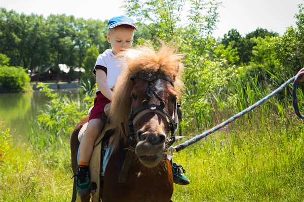 Garçon cheval poney — Photo