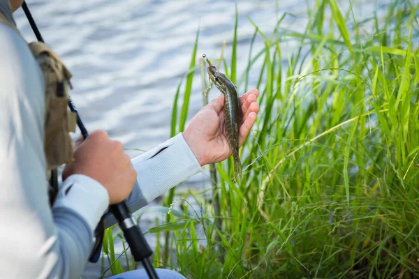 Fisherman holding fish