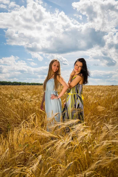 Meisjes staan in een tarweveld. — Stockfoto