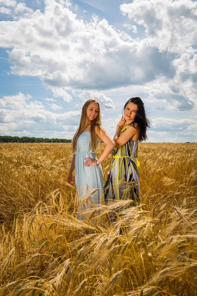 Girls standing in a wheat field. — Stock Photo, Image