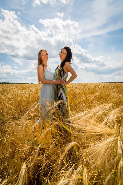 Mädchen stehen in einem Weizenfeld. — Stockfoto