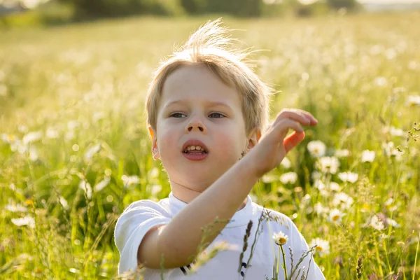 Boy in field — Stock Photo, Image