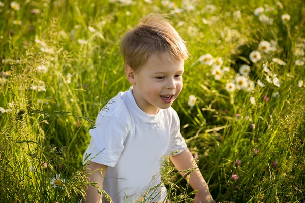 Boy in field — Stock Photo, Image