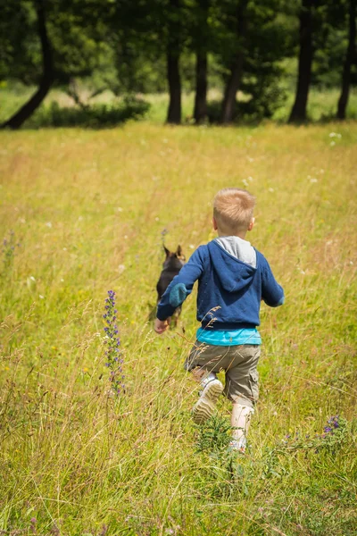 Boy with dog — Stock Photo, Image