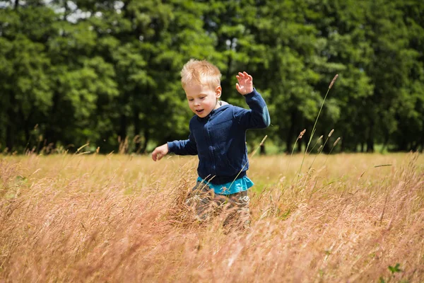 Jongen in veld — Stockfoto