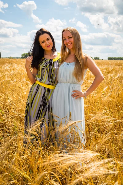 Meninas de pé em um campo de trigo . — Fotografia de Stock