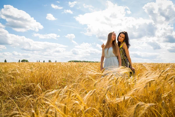 Meisjes staan in een tarweveld. — Stockfoto