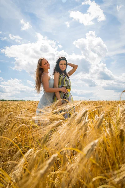 Meisjes staan in een tarweveld. — Stockfoto