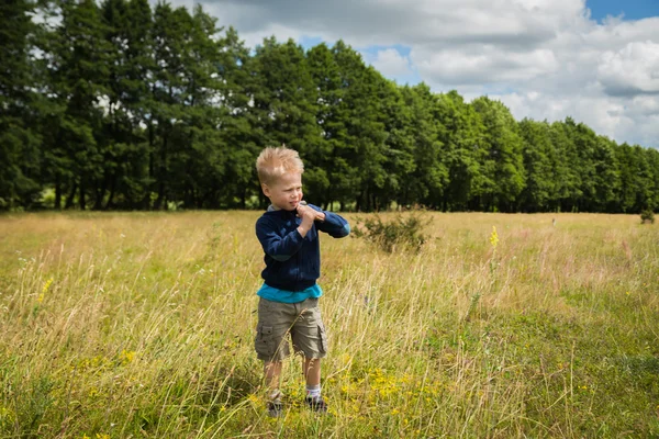 Boy in field — Stock Photo, Image