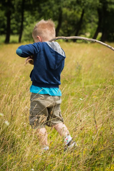 Boy in field — Stock Photo, Image