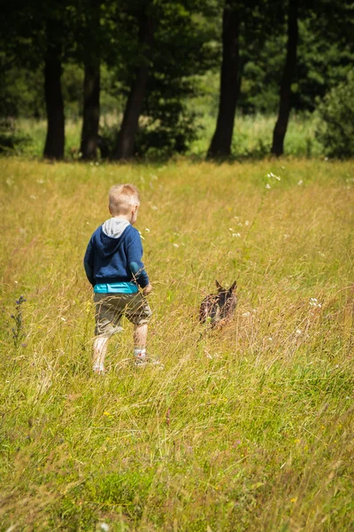 Junge mit Hund — Stockfoto