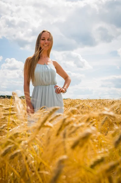 Lady in tarweveld. — Stockfoto