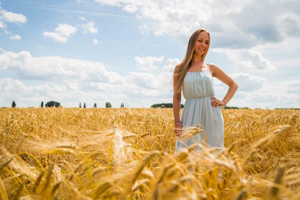 Lady in tarweveld. — Stockfoto