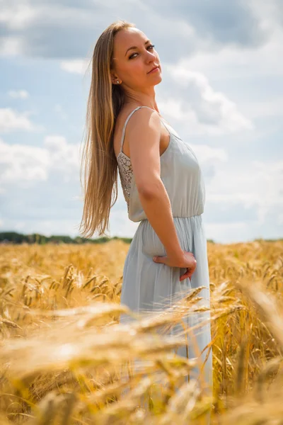 Lady in tarweveld. — Stockfoto