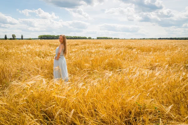 Lady in tarweveld. — Stockfoto