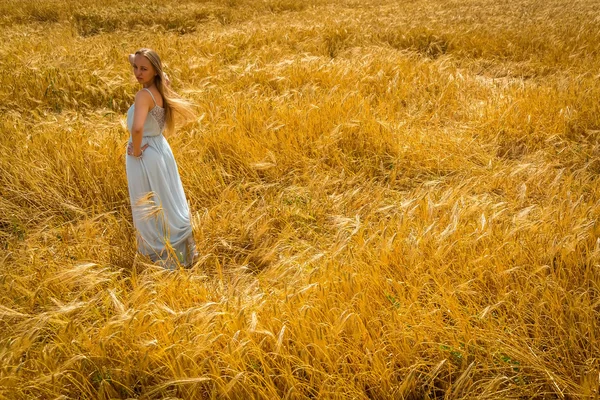 Signora nel campo di grano . — Foto Stock