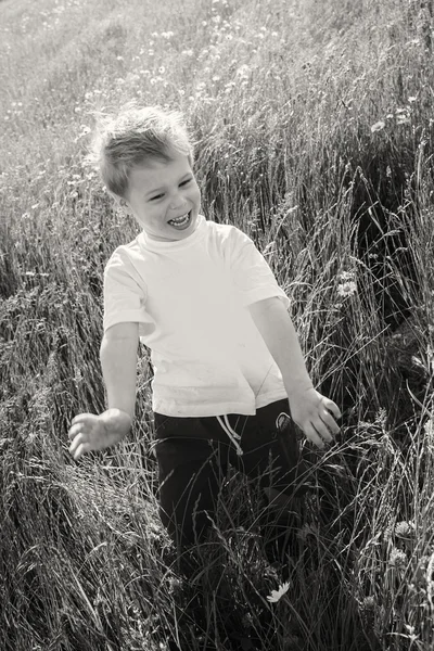 Мальчик в поле — стоковое фото