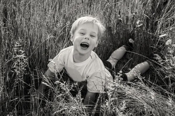 Niño en el campo —  Fotos de Stock