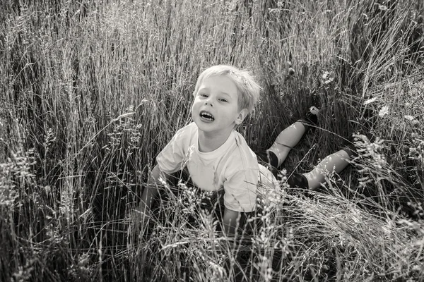 Niño en el campo —  Fotos de Stock