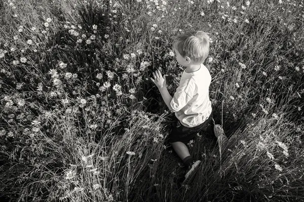 Chlapec v poli — Stock fotografie