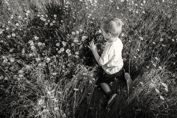 Ragazzo in campo — Foto Stock